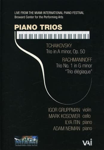 【中古】【非常に良い】Piano Trio [DVD]