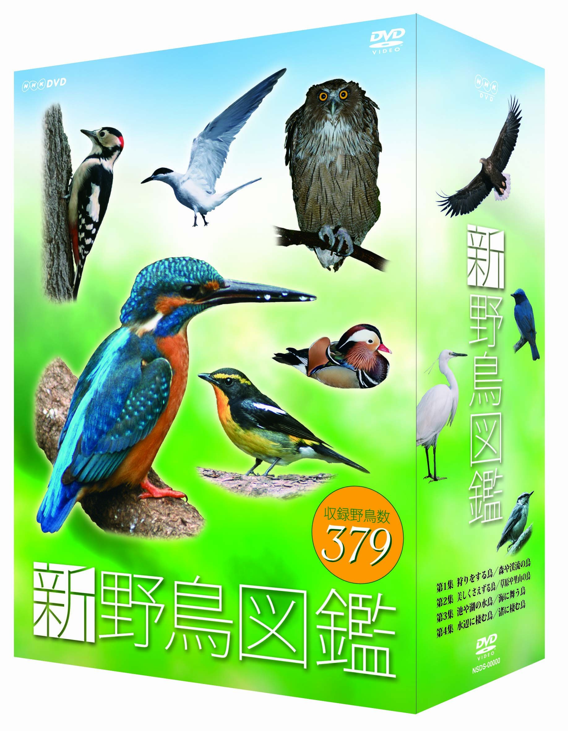 【中古】【非常に良い】新 野鳥図鑑 DVD-BOX 全4枚セット【ＮＨＫスクエア限定商品】