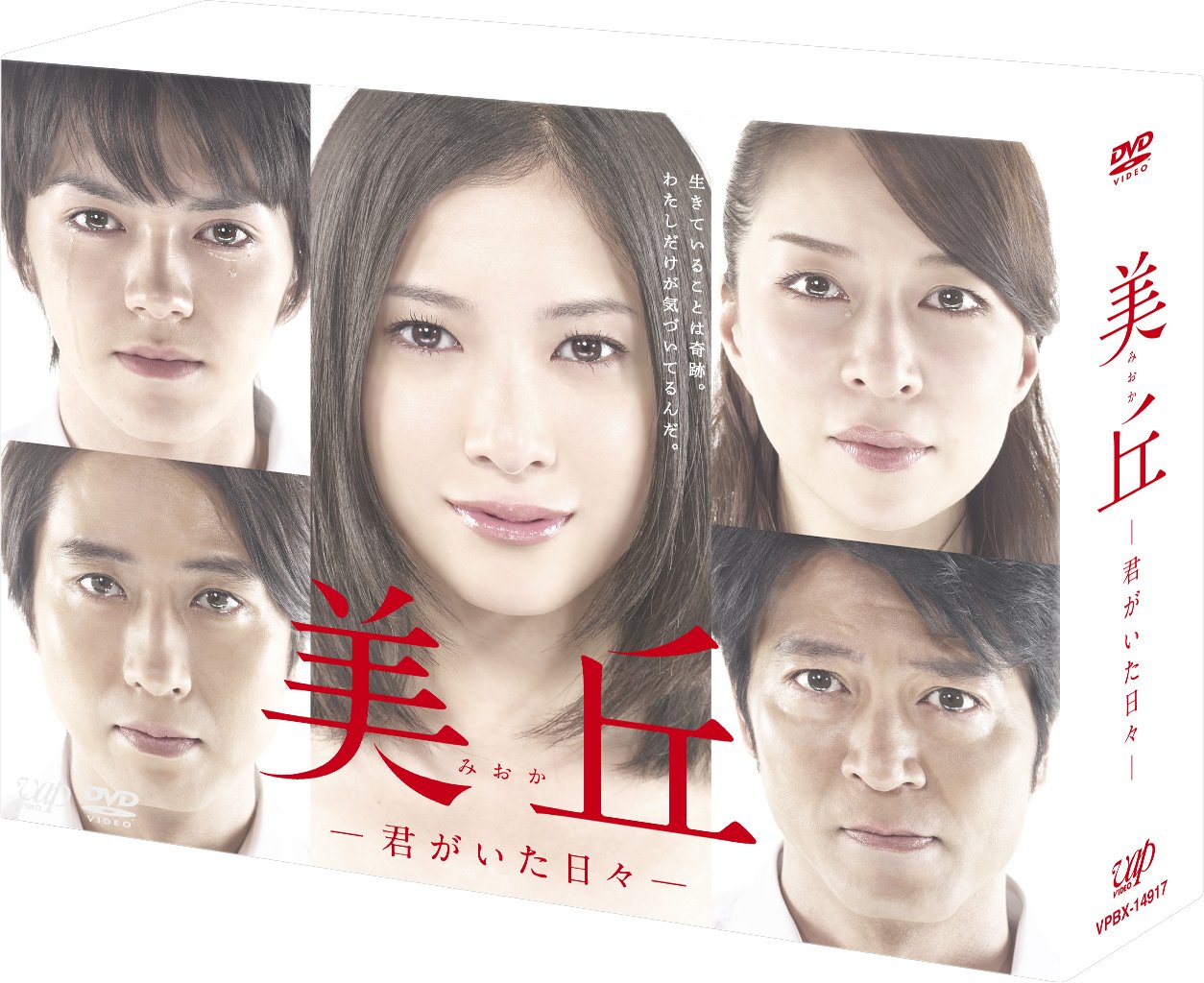 【中古】【非常に良い】美丘―君がいた日々― DVD-BOX