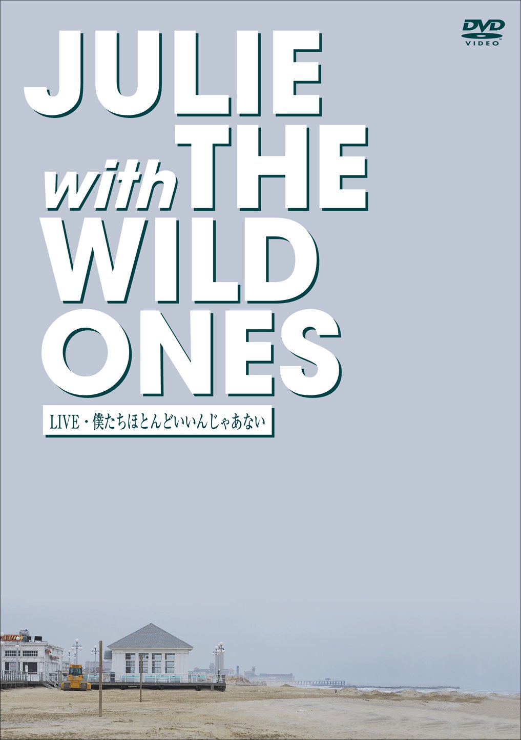 【中古】【非常に良い】JULIE with THE WILD ONES LIVE 僕達ほとんどいいんじゃあない [DVD]｜スカイマーケットプラス