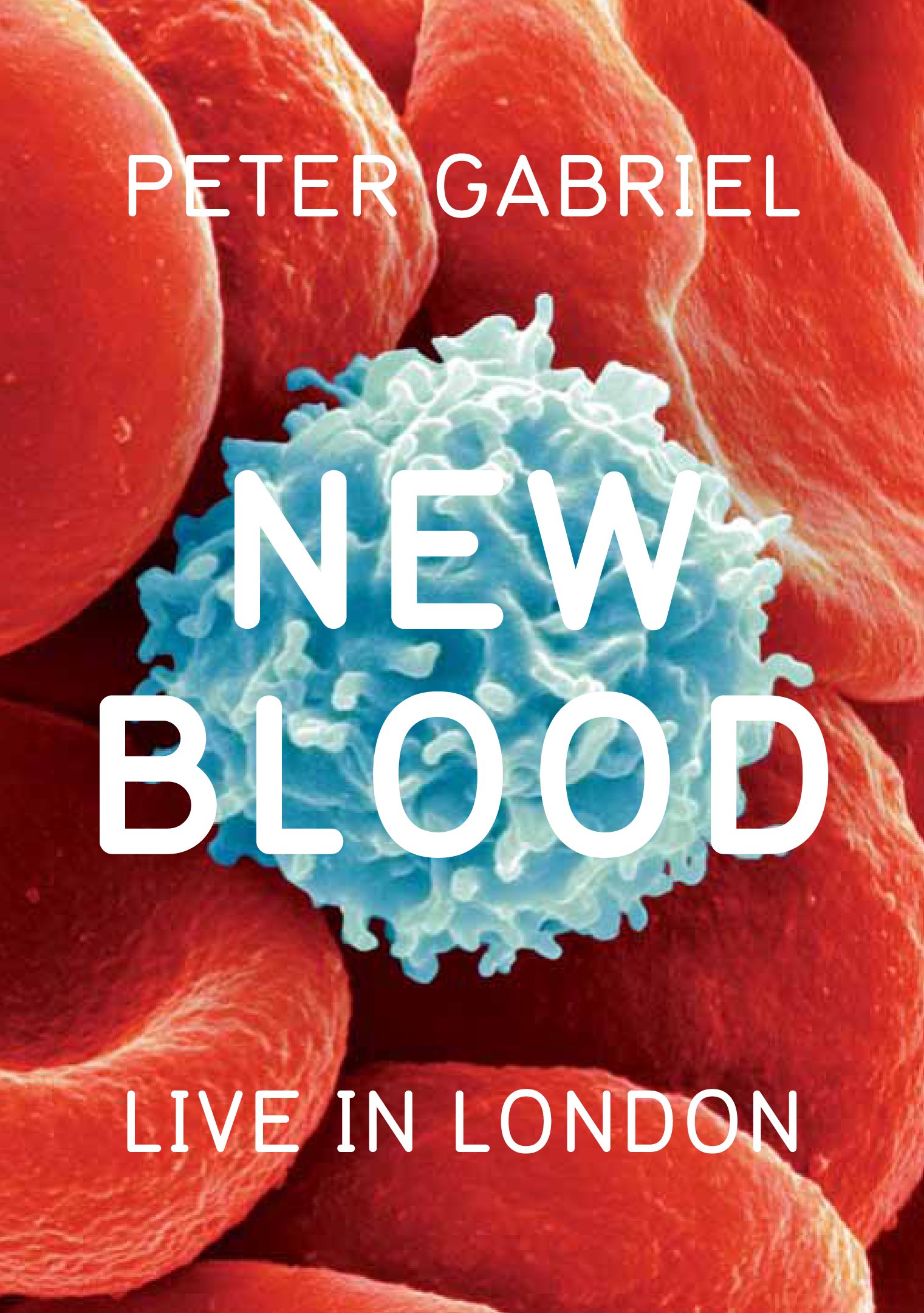 【中古】【非常に良い】New Blood: Live in London [DVD]｜スカイマーケットプラス
