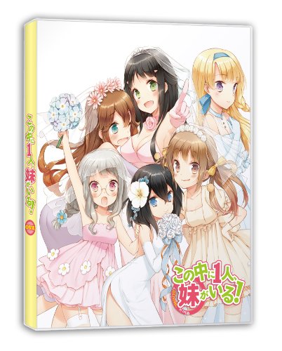 【中古】【非常に良い】OVAの中に1人、妹がいる! [DVD]