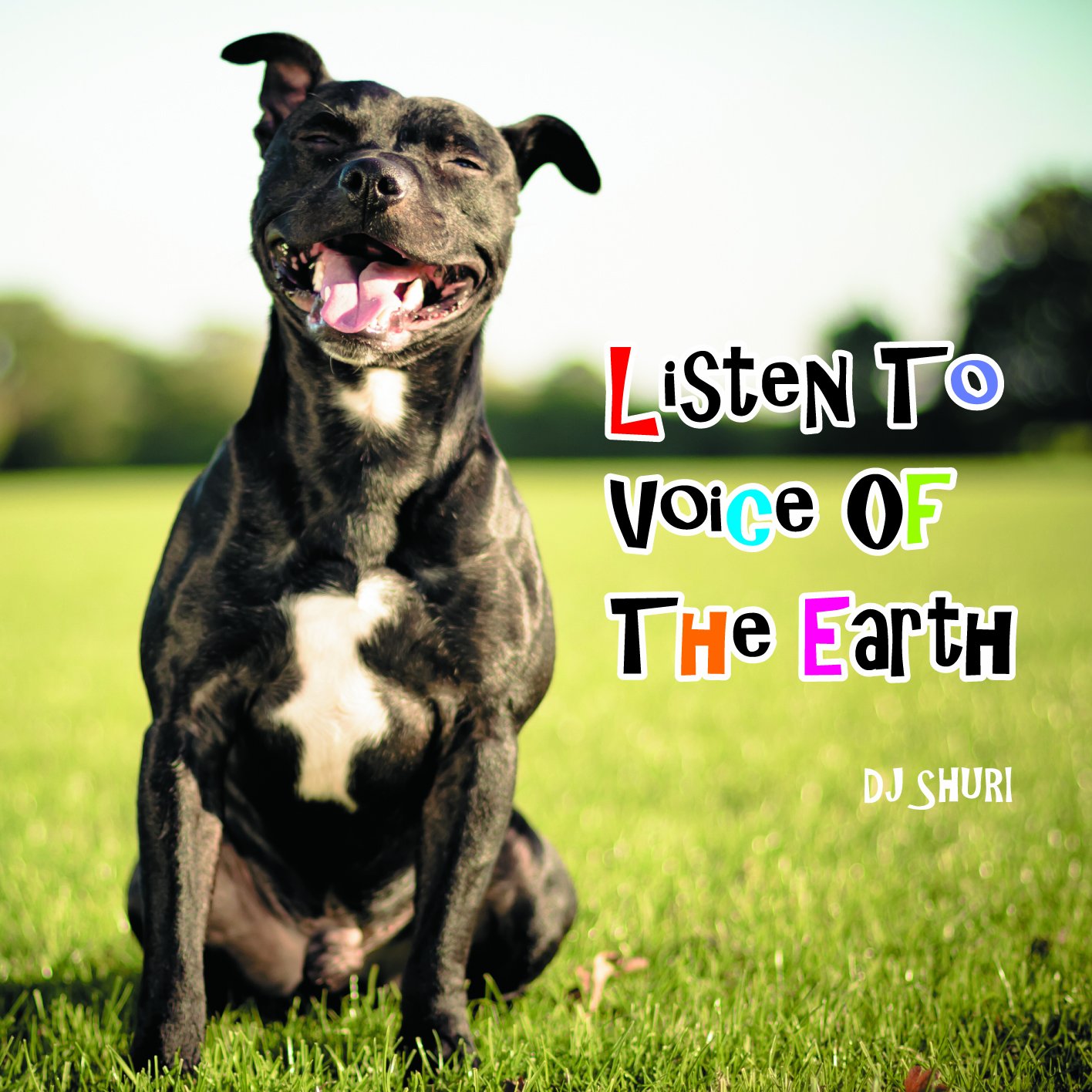 【中古】【非常に良い】Listen To A Voice Of The Earth -DJ SHURI-