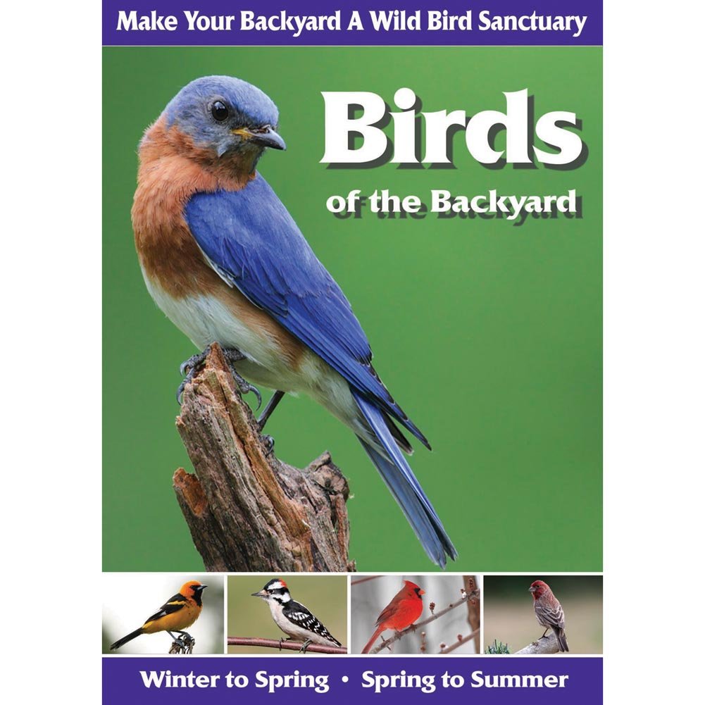 【中古】【非常に良い】Birds of the Backyard [DVD]