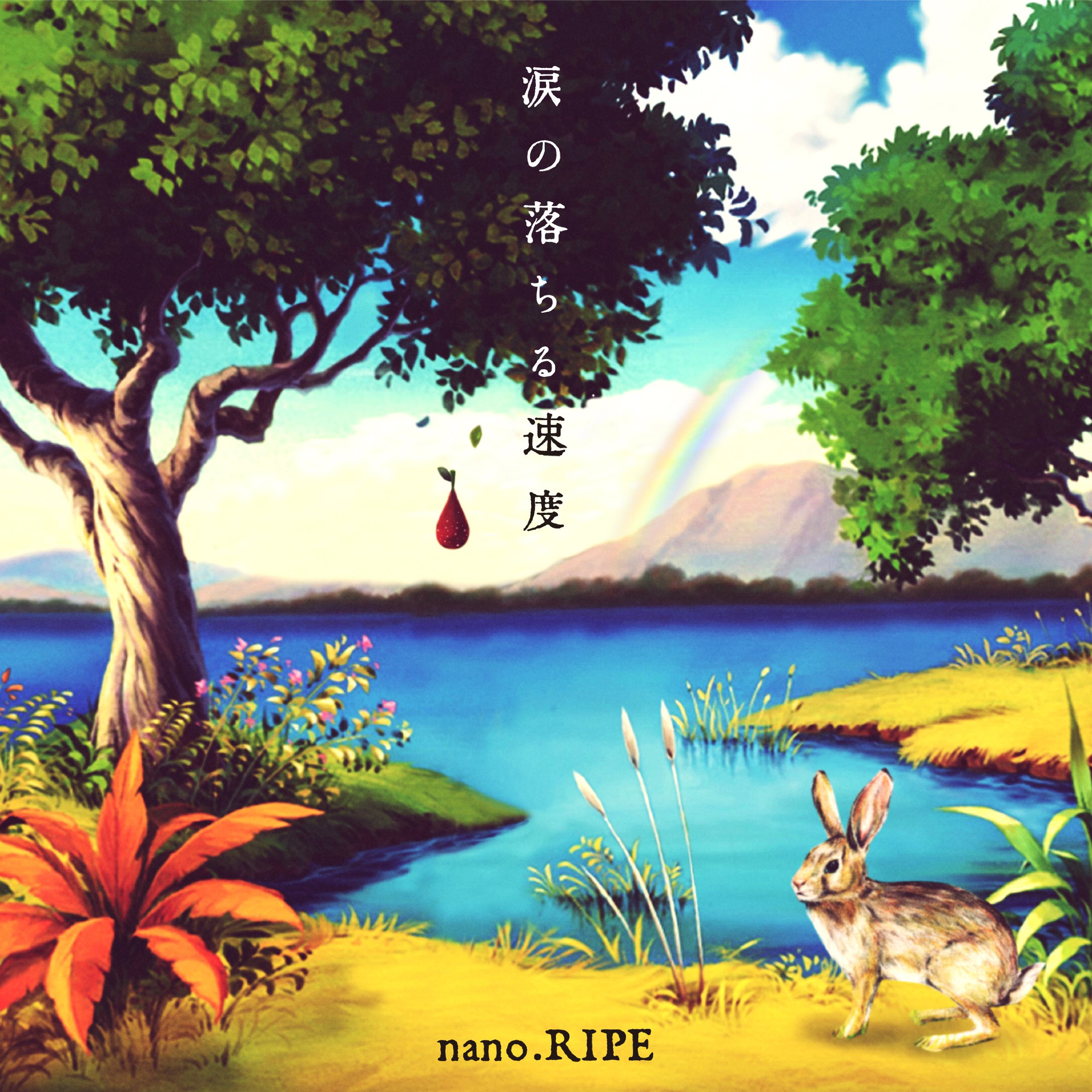 【中古】【非常に良い】涙の落ちる速度【初回限定盤A】