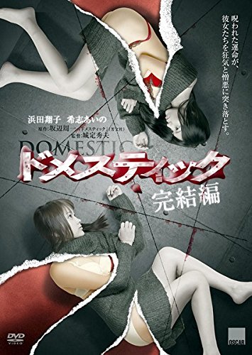 【中古】【非常に良い】ドメスティック 完結編 [レンタル落ち]｜スカイマーケットプラス