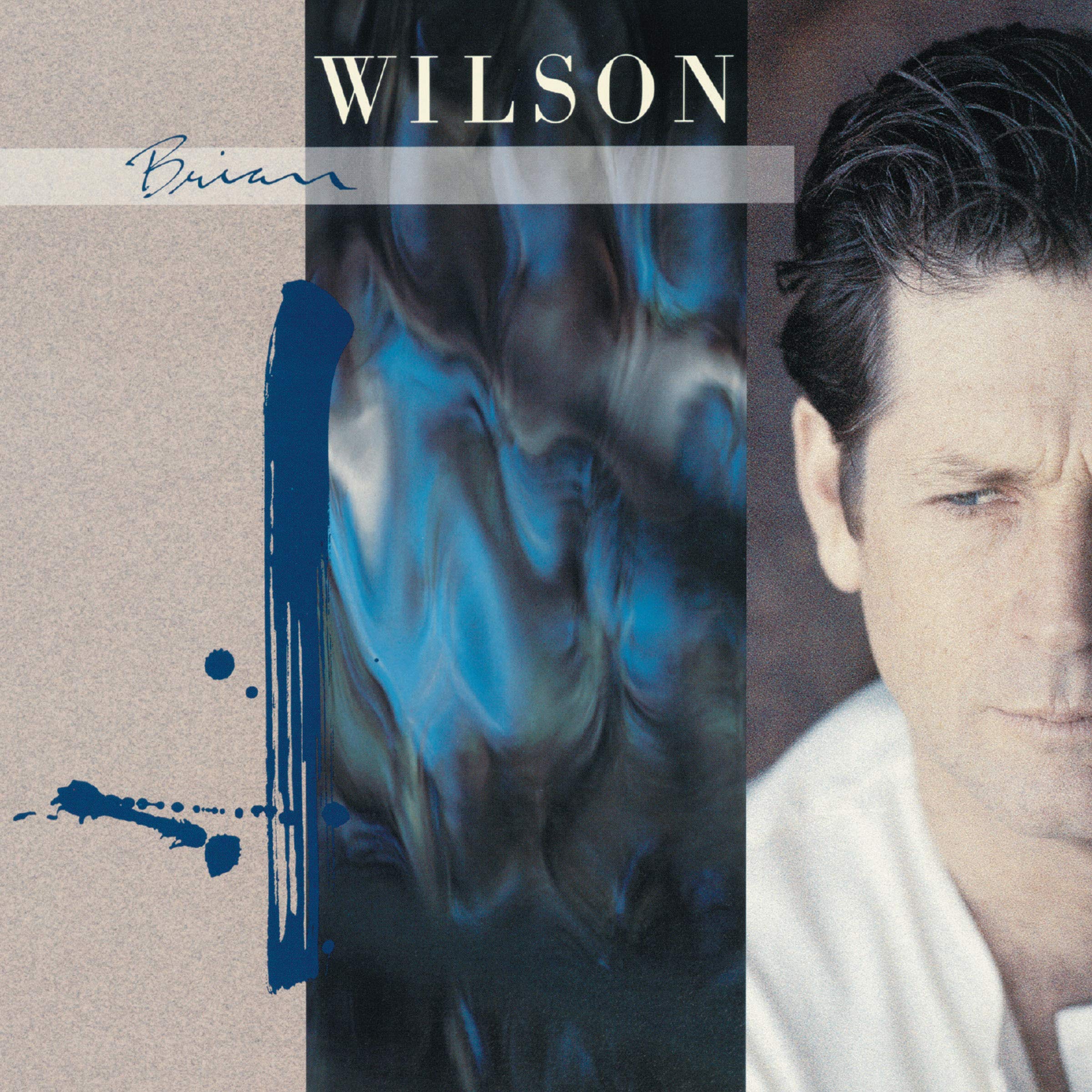 【中古】【非常に良い】Brian Wilson|スカイマーケットプラス