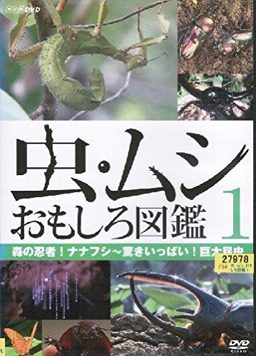 【中古】【非常に良い】虫・ムシ おもしろ図鑑 [レンタル落ち] （全3巻セット） [マーケットプレイス DVDセット]