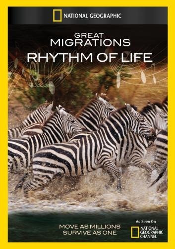 【中古】【非常に良い】Great Migrations: Rhythm of Life|スカイマーケットプラス