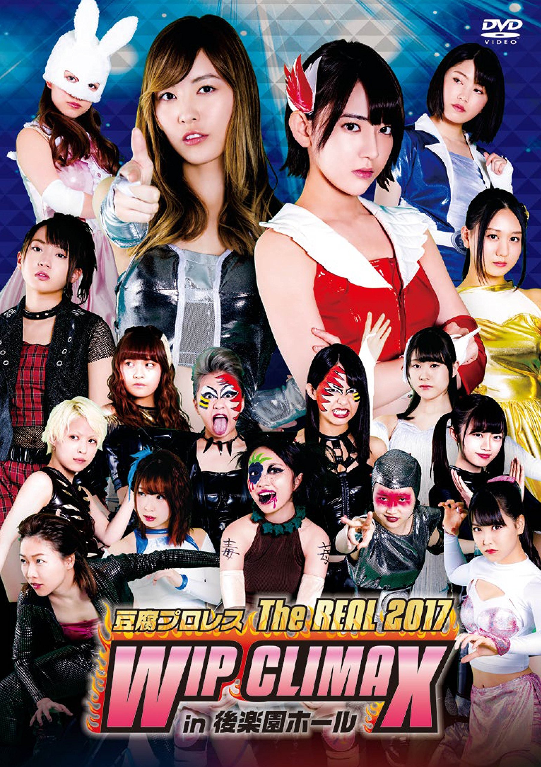 【中古】【非常に良い】豆腐プロレス　Ｔｈｅ　ＲＥＡＬ　２０１７　ＷＩＰ　ＣＬＩＭＡＸ　ｉｎ　８．２９　後楽園ホール DVD
