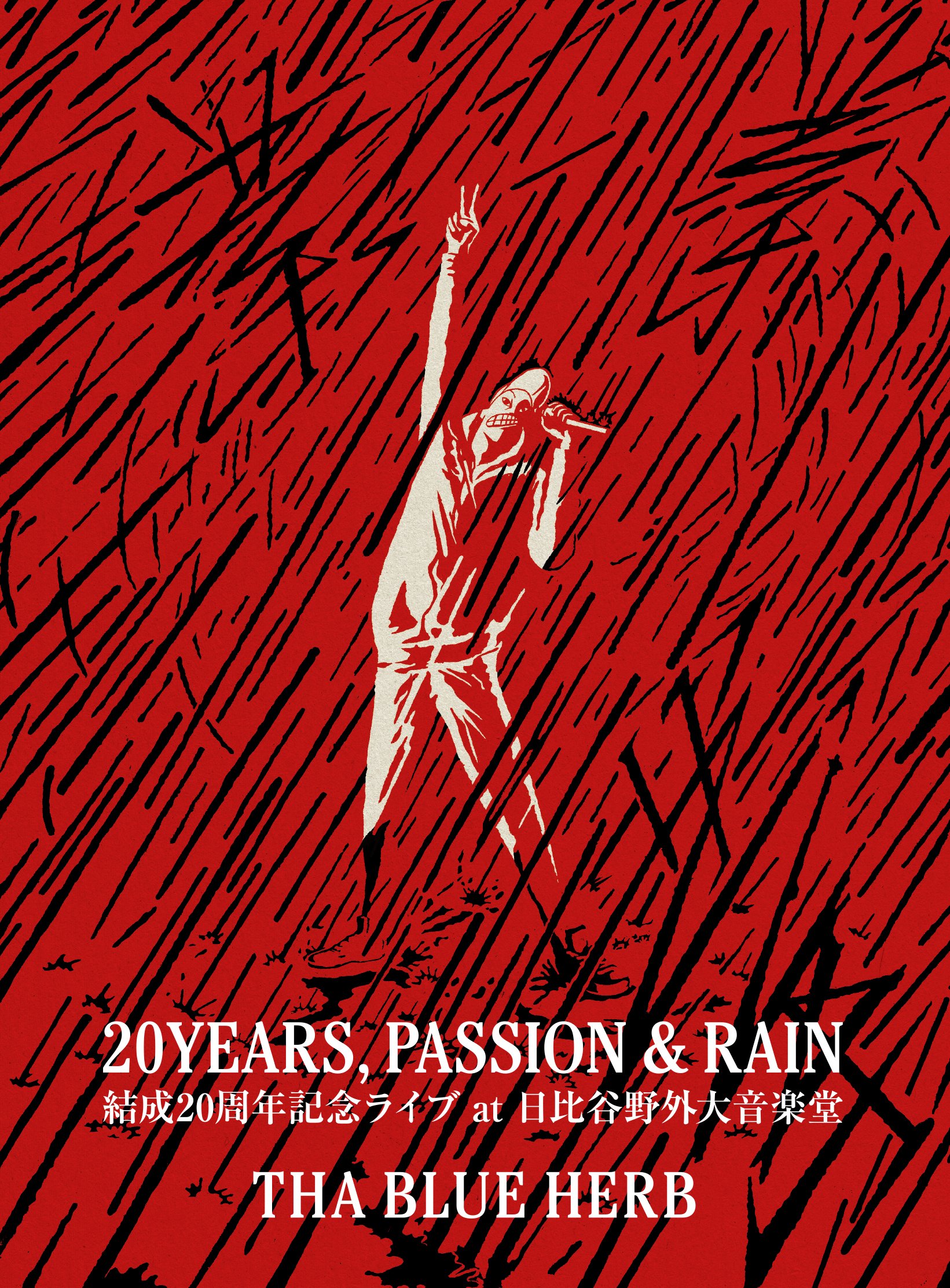 【中古】【非常に良い】20YEARS PASSION & RAIN [DVD]