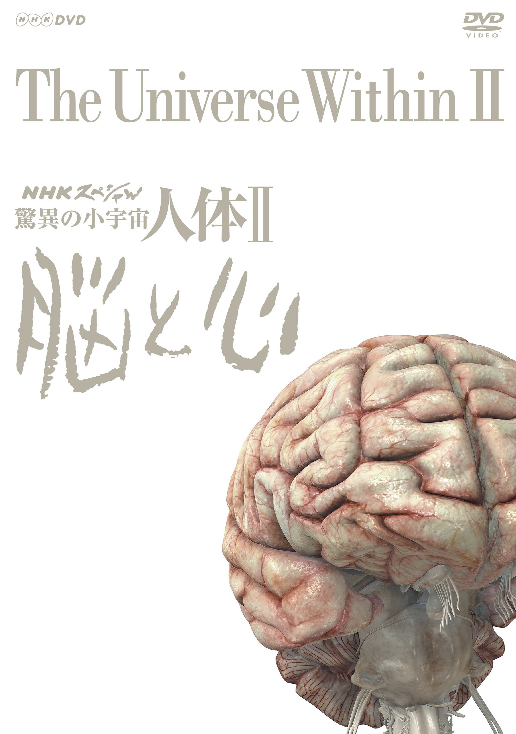 【中古】【非常に良い】NHKスペシャル 驚異の小宇宙 人体II 脳と心 DVD BOX (新価格)|スカイマーケットプラス