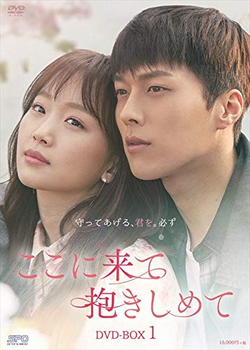 【中古】【非常に良い】ここに来て抱きしめて DVD-BOX1｜スカイマーケットプラス