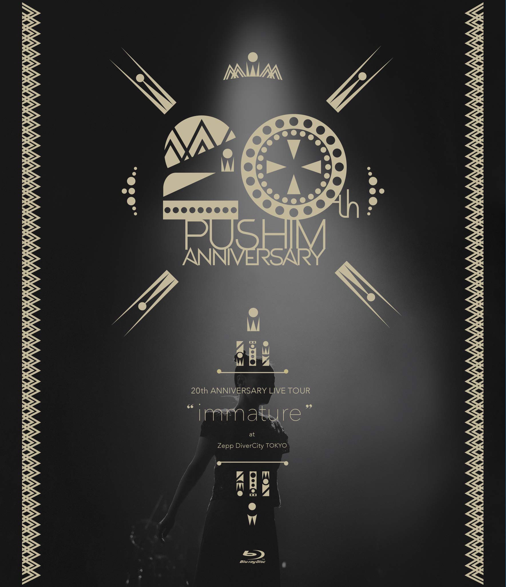 【中古】【非常に良い】20th ANNIVERSARY LIVE TOUR immature at Zepp DiverCity(TOKYO) [Blu-ray]｜スカイマーケットプラス