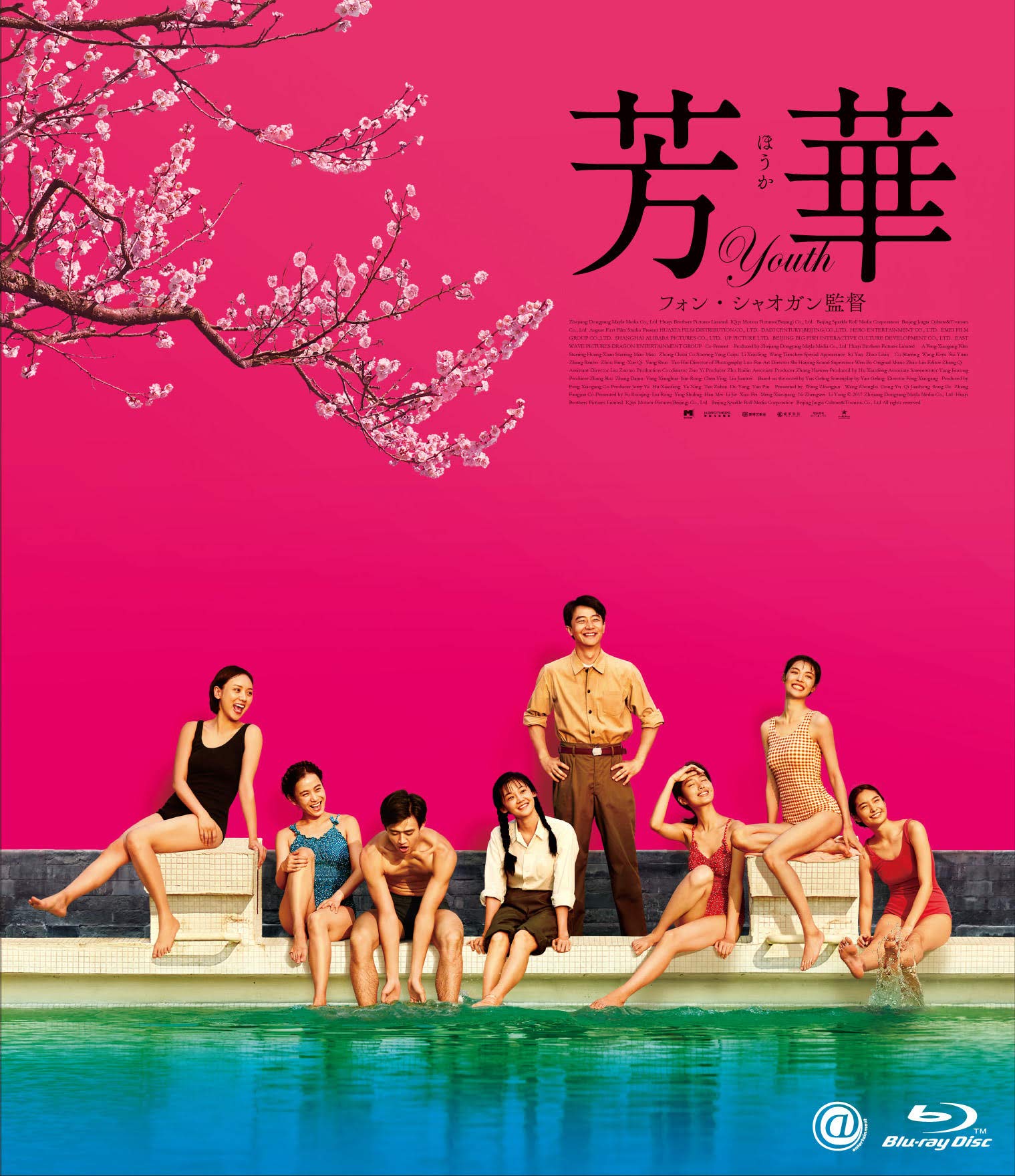 【中古】【非常に良い】芳華-Youth- [Blu-ray]