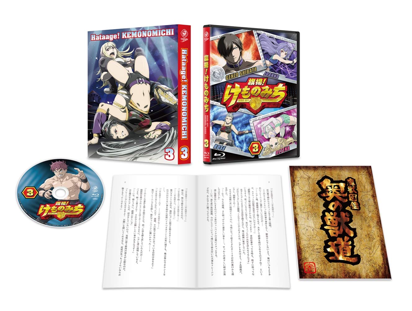 【中古】【非常に良い】旗揚！けものみち 第3巻 [DVD]