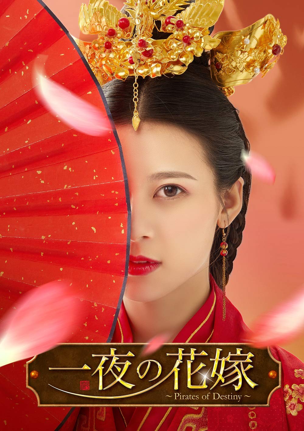 【中古】【非常に良い】一夜の花嫁~Pirates of Destiny~ DVD-BOX1|スカイマーケットプラス