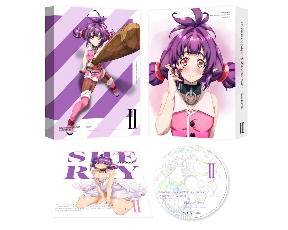 【中古】【非常に良い】異世界迷宮でハーレムを DVD BOX 下巻
