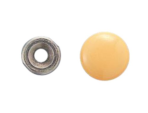 【中古】【非常に良い】TOTO 後付補強板用キャップ 40個入 ライトナチュラル EWT26CP#NFC