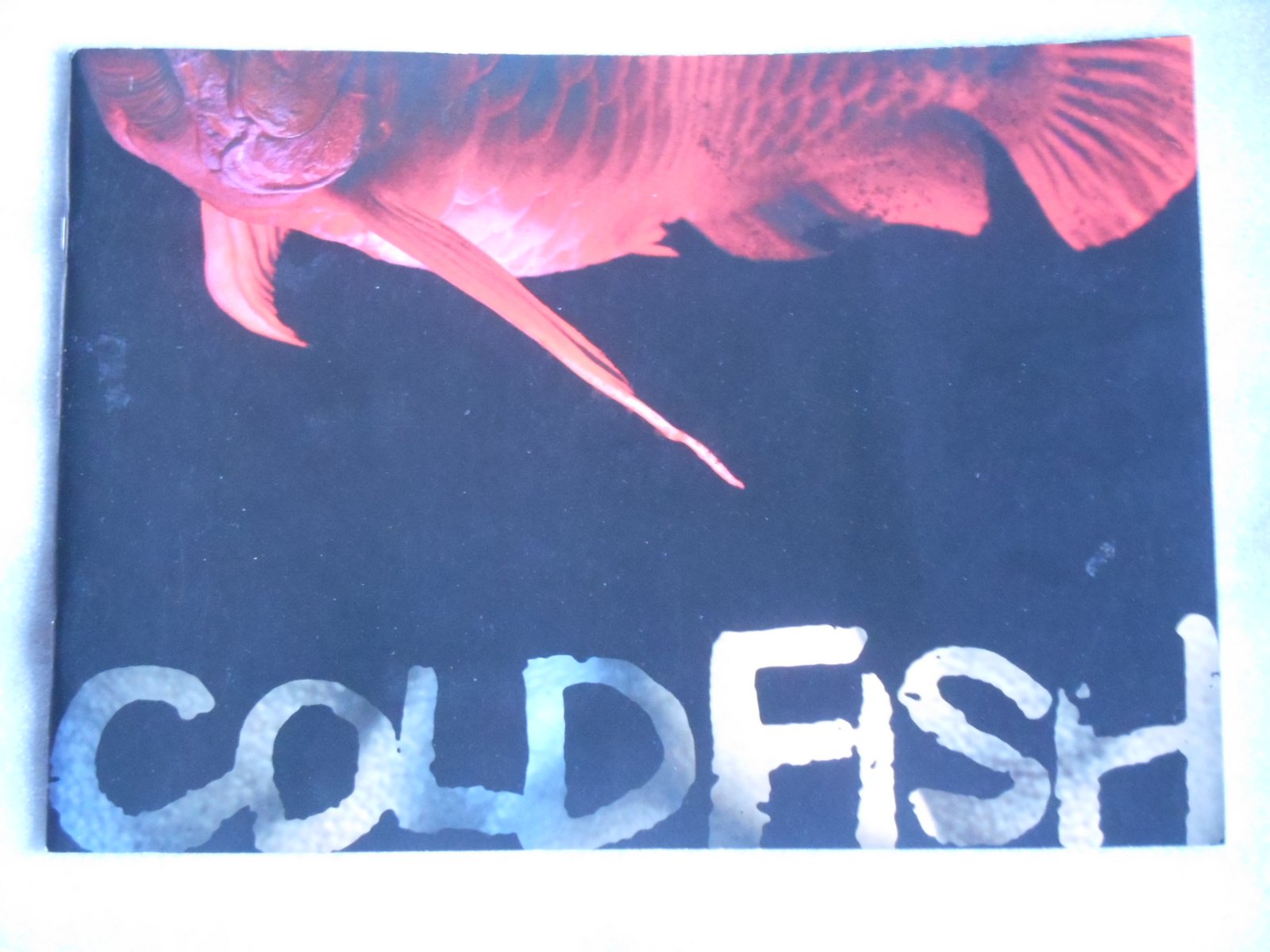 【中古】【非常に良い】映画パンフレット　冷たい熱帯魚　園子温・監督　吹越満　でんでん　黒沢あすか　神楽坂恵