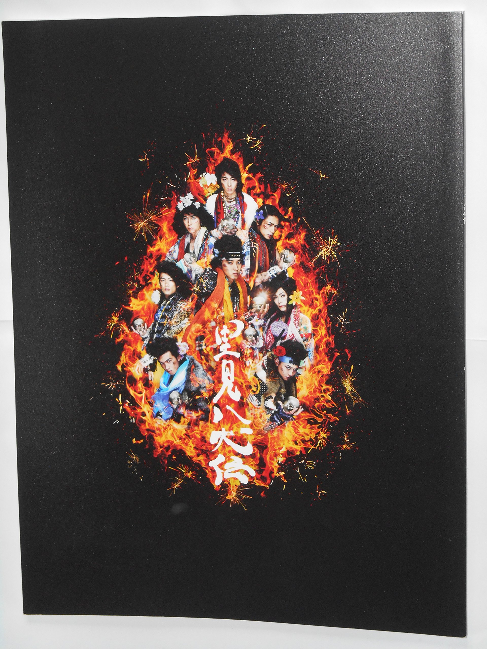 【中古】【非常に良い】2014年公演パンフレット 里見八犬伝 深作健太・演出 山崎賢人 村井良太 馬場良馬 高杉真宙 石垣琢磨 玉城裕規 丸山敦史画像