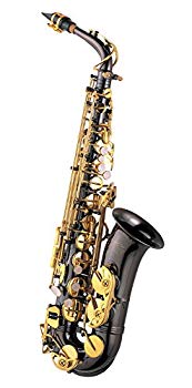 【中古】Jマイケル アルトサックス AL-900B tf8su2k｜スカイマーケットプラス