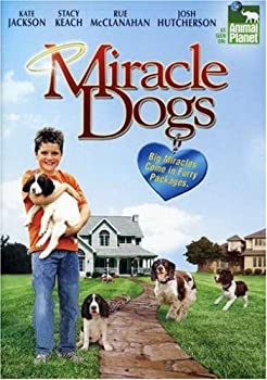 【中古】【非常に良い】Miracle Dogs [DVD]