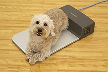 【中古】小ざかしい 冷暖一皿 mxn26g8