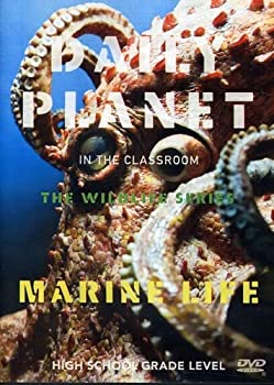 【中古】Marine Life [DVD]