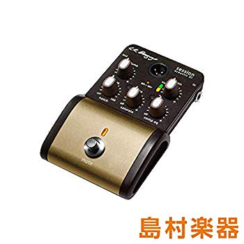 【中古】L.R.Baggs Session Acoustic D.I. アコースティックギター用プリアンプ qqffhab｜スカイマーケットプラス