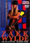 【中古】YOUNG GUITAR PRESENTS GUITAR INSTRUCTIONAL VIDEO ペンタトニック・ハードコア [DVD]
