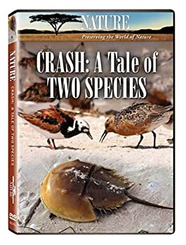 【中古】【非常に良い】Nature: Crash - A Tale of Two Species [DVD]