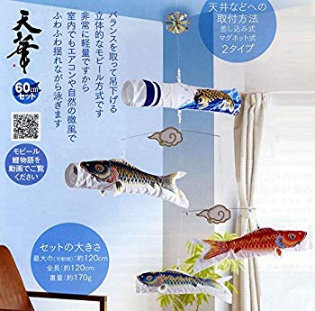 【中古】粋々可動鯉謂われ因縁 ６０糎仕掛ける 天華 滝上り勾配吹き流し（吊り下げ印字機）【こい旗幟】 9jupf8b