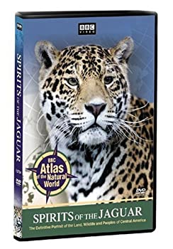 【中古】【非常に良い】Spirits of the Jaguar [DVD]