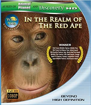 【中古】Wild Asia: In the Realm of the Red Ape [Blu-ray]｜スカイマーケットプラス