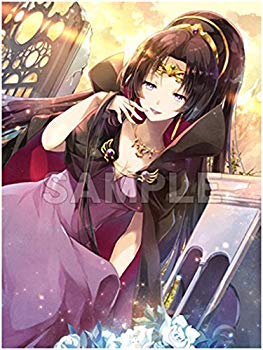 【中古】【非常に良い】キャラクタースリーブシリーズ ロードス島戦記 灰色の魔女 カーラ illust.山鳥おふう d2ldlup画像
