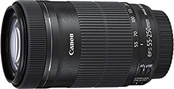 【中古】Canon 望遠ズームレンズ EF-S55-250mm F4-5.6 IS STM APS-C対応 EF-S55-250ISSTM rdzdsi3