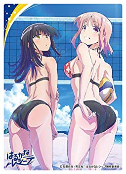 【中古】【非常に良い】キャラクタースリーブ はるかなレシーブ 「なるあや」ペア (EN-685) mxn26g8画像