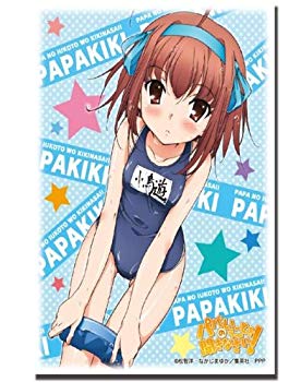 【中古】【非常に良い】ブシロードスリーブコレクションHG (ハイグレード) Vol.265 パパのいうことを聞きなさい! 『小鳥遊 空』 tf8su2k画像