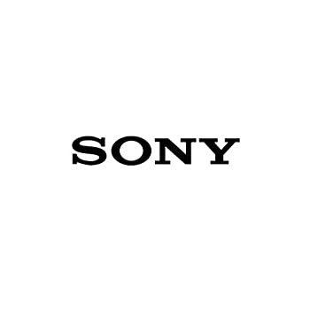 【中古】(未使用･未開封品)【部品】SONY純正 オーディオコード 対応機種：ICD-UX544F ICD-UX534F ICD-UX533F ICD-UX523 ICD-UX523F