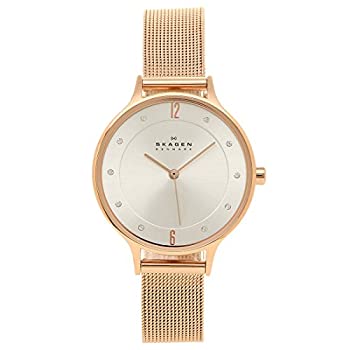 【中古】スカーゲン SKAGEN ウオッチ 時辰儀 SKAGEN SKW2151 ANITA アニタ スチール写真メッシュ 30MM レディースウオッチご覧なさる サクラ色ゴールド [並行輸入品]