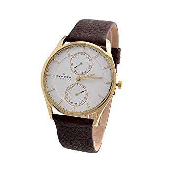 【中古】(未当て嵌める･未開封品)SKAGEN SKW6066 [並行輸入品]