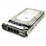 【中古】【人並み外れたに好いたらしい】DELL FNW88 1結核症 7.2K SAS 3.5\u0027\u0027 6G HDD パソコン・周辺機器-内蔵ドライブ・ストレージ-PCパーツ