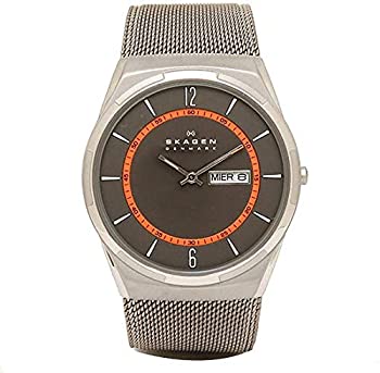 【中古】[スカーゲン] 腕時計 SKAGEN SKW6007 シルバー ブラック [並行輸入品]