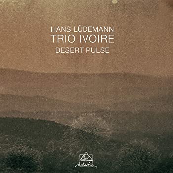【中古】(未使用･未開封品)DESERT PULSE [CD]