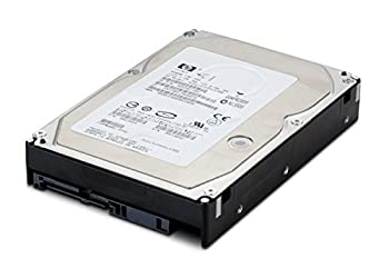 【中古】42D0767 IBM 2-TB 6G 7.2K 3.5 NL SAS HDD (更新済み)。