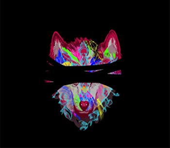 【中古】(未使用･未開封品)一匹狼(初回限定盤:CD + DVD) [CD]