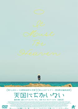 【中古】(未使用･未開封品)天国にちがいない [DVD]