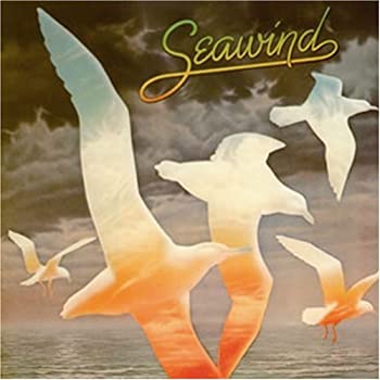【中古】【非常に良い】海鳥 [CD]｜スカイマーケットプラス