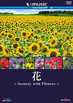 【中古】(未使用･未開封品)花～Scenery with Floews～ V-music03　 [DVD]｜スカイマーケットプラス